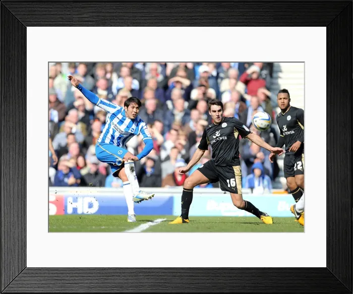 Framed Print : Brighton & Hove Albion vs. Leicester City (06-04-2013) - 2012-13 Season Home Game Framed Print : Brighton & Hove Albion vs. Leicester City (06-04-2013) - 2012-13 Season Home Game