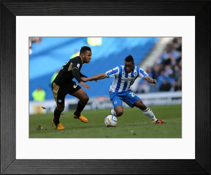 Framed Print : Brighton & Hove Albion vs. Leicester City (06-04-2013): A Past Season Clash - The Home Game Framed Print : Brighton & Hove Albion vs. Leicester City (06-04-2013): A Past Season Clash - The Home Game