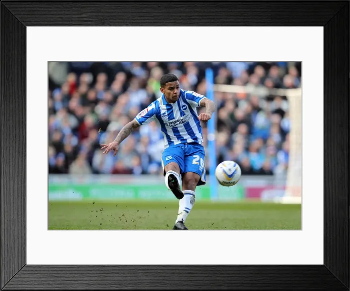 Framed Print : Brighton & Hove Albion vs. Leicester City (2012-13): A Home Game Recap Framed Print : Brighton & Hove Albion vs. Leicester City (2012-13): A Home Game Recap