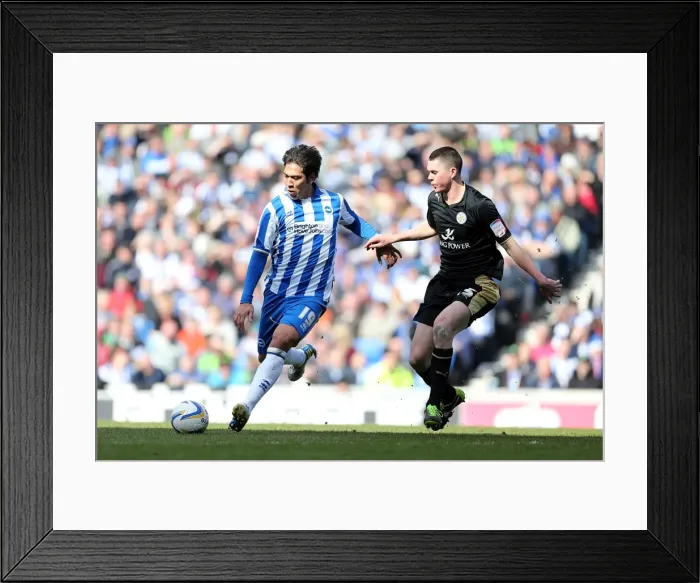 Framed Print : Brighton & Hove Albion vs. Leicester City (06-04-2013): A Look Back at the 2012-13 Home Game Framed Print : Brighton & Hove Albion vs. Leicester City (06-04-2013): A Look Back at the 2012-13 Home Game