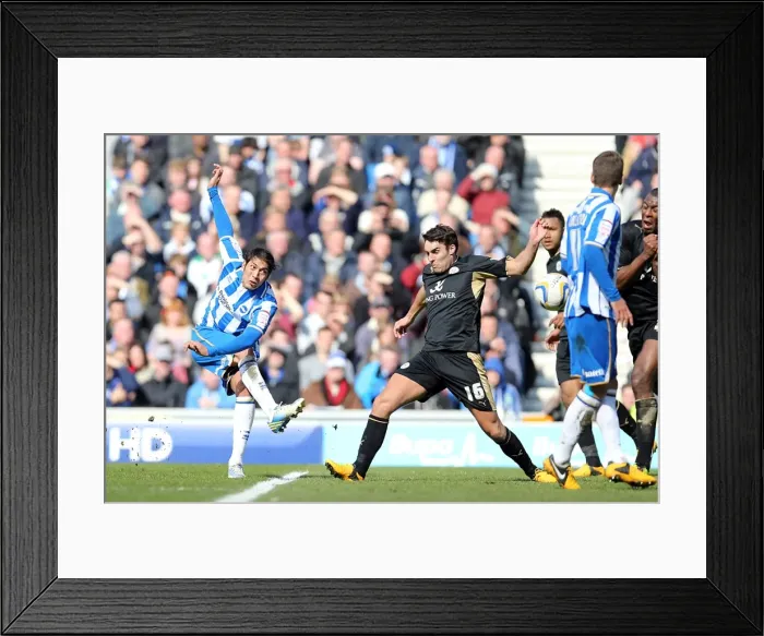 Framed Print : Brighton & Hove Albion vs. Leicester City (06-04-2013) - 2012-13 Season Home Game Framed Print : Brighton & Hove Albion vs. Leicester City (06-04-2013) - 2012-13 Season Home Game