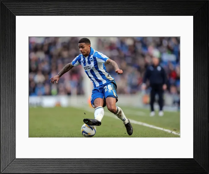 Framed Print : Brighton & Hove Albion vs. Leicester City (2012-13): A Past Season's Home Game Framed Print : Brighton & Hove Albion vs. Leicester City (2012-13): A Past Season's Home Game