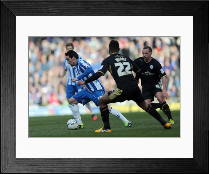 Framed Print : Brighton & Hove Albion vs. Leicester City (06-04-2013): A Glance at Our Past - 2012-13 Home Game Framed Print : Brighton & Hove Albion vs. Leicester City (06-04-2013): A Glance at Our Past - 2012-13 Home Game