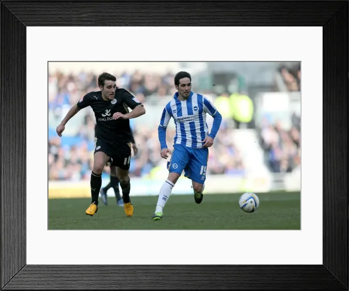 Framed Print : Brighton & Hove Albion vs. Leicester City (2012-13): A Home Game Review - 06-04-2013 Framed Print : Brighton & Hove Albion vs. Leicester City (2012-13): A Home Game Review - 06-04-2013