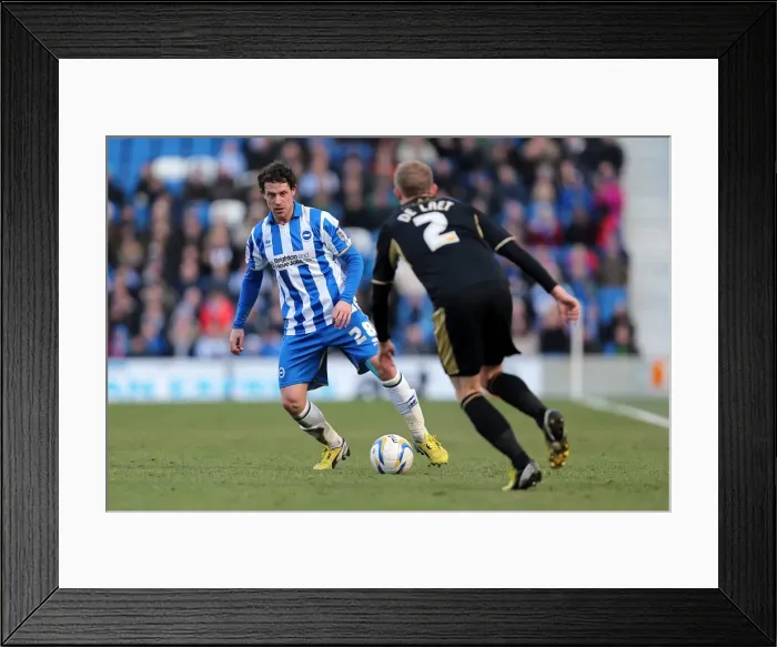 Framed Print : Brighton & Hove Albion vs. Leicester City (06-04-2013) - A Glance at the 2012-13 Season: Home Game