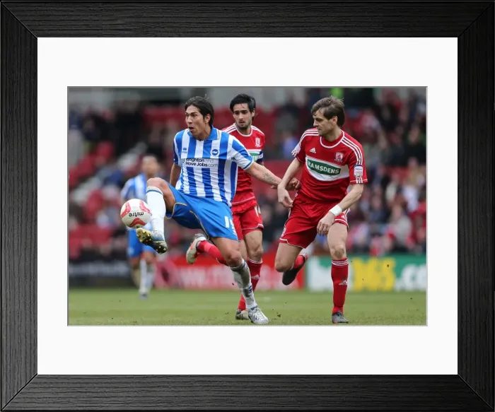 Framed Print : Leonardo Ulloa in Action: Middlesbrough vs. Brighton & Hove Albion, Championship Showdown - April 13, 2013 Framed Print : Leonardo Ulloa in Action: Middlesbrough vs. Brighton & Hove Albion, Championship Showdown - April 13, 2013