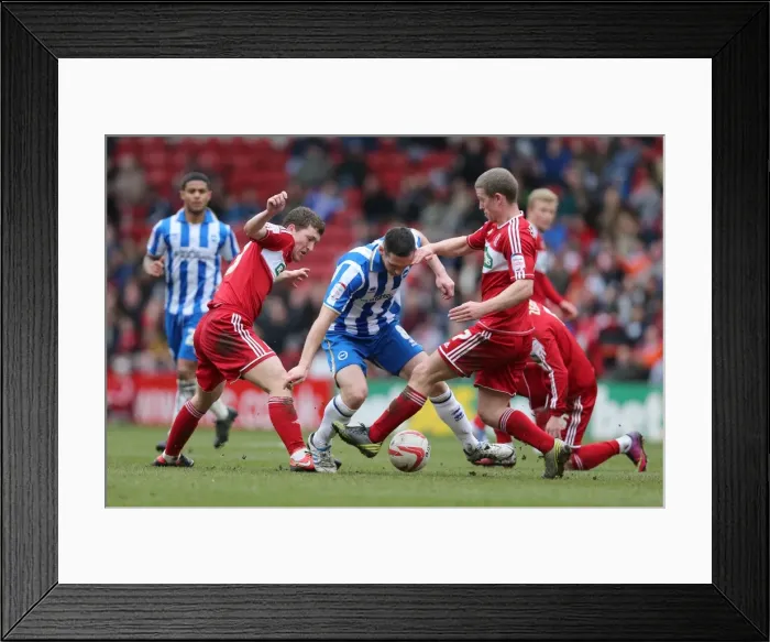 Framed Print : Brighton & Hove Albion vs. Middlesbrough: 2012-13 Away Game Framed Print : Brighton & Hove Albion vs. Middlesbrough: 2012-13 Away Game