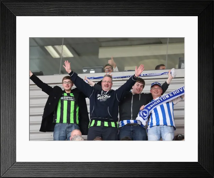 Framed Print : Sea of Seagulls: Brighton and Hove Albion Away Days 2012-13 Framed Print : Sea of Seagulls: Brighton and Hove Albion Away Days 2012-13