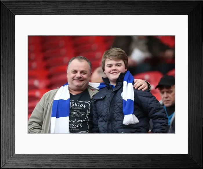 Framed Print : Sea of Seagulls: Brighton and Hove Albion Away Days 2012-13 Framed Print : Sea of Seagulls: Brighton and Hove Albion Away Days 2012-13