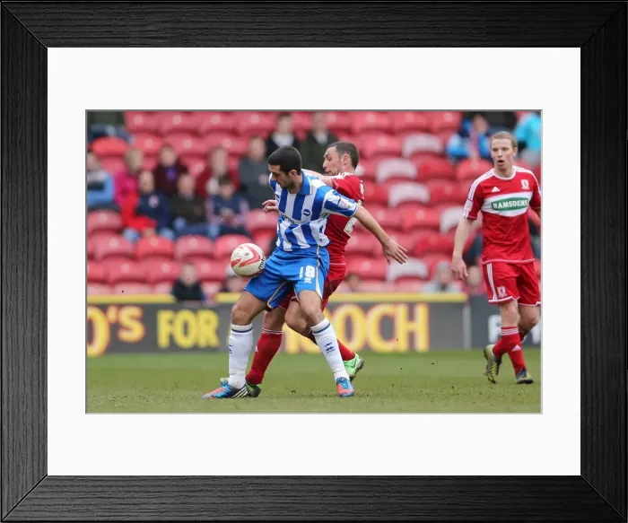 Framed Print : Brighton & Hove Albion vs Middlesbrough: 2012-13 Away Game Framed Print : Brighton & Hove Albion vs Middlesbrough: 2012-13 Away Game