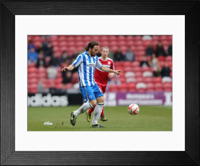 Framed Print : Brighton & Hove Albion vs. Middlesbrough: 2012-13 Away Game Framed Print : Brighton & Hove Albion vs. Middlesbrough: 2012-13 Away Game