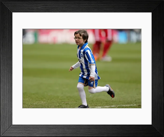 Framed Print : Brighton & Hove Albion vs. Middlesbrough: 2012-13 Away Game Framed Print : Brighton & Hove Albion vs. Middlesbrough: 2012-13 Away Game