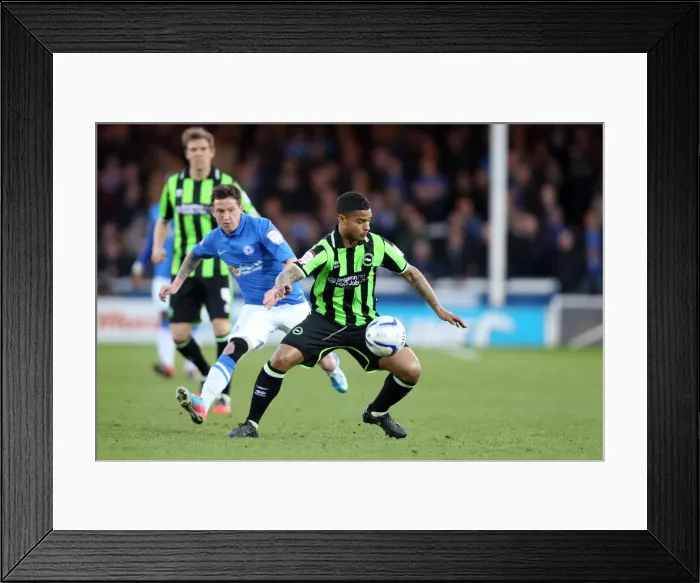 Framed Print : Brighton & Hove Albion's Liam Bridcutt in Action Against Middlesbrough, Championship Match, April 2013 Framed Print : Brighton & Hove Albion's Liam Bridcutt in Action Against Middlesbrough, Championship Match, April 2013