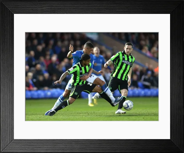 Framed Print : Liam Bridcutt in Action: Brighton & Hove Albion vs. Middlesbrough, Championship Clash at Peterborough, April 13, 2013 Framed Print : Liam Bridcutt in Action: Brighton & Hove Albion vs. Middlesbrough, Championship Clash at Peterborough, April 13, 2013
