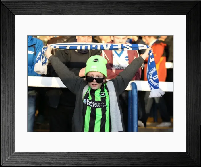 Framed Print : Brighton & Hove Albion vs. Peterborough United (Away) - April 16, 2013: A Look Back at the 2012-13 Season Framed Print : Brighton & Hove Albion vs. Peterborough United (Away) - April 16, 2013: A Look Back at the 2012-13 Season