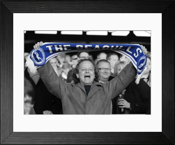 Framed Print : Sea of Seagulls: Brighton and Hove Albion Away Days 2012-13 Framed Print : Sea of Seagulls: Brighton and Hove Albion Away Days 2012-13