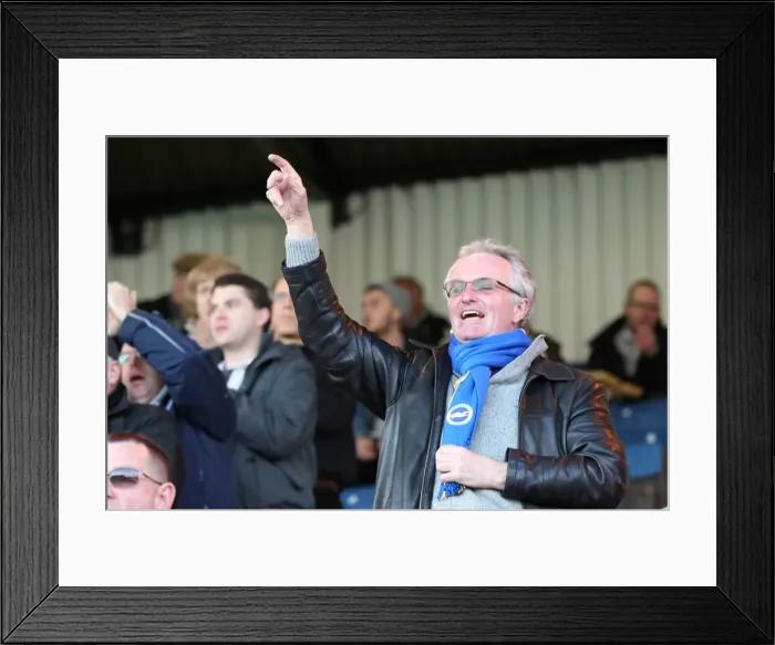 Framed Print : Brighton and Hove Albion FC: Thrilling Away Days 2012-13 - Electric Crowd Moments Framed Print : Brighton and Hove Albion FC: Thrilling Away Days 2012-13 - Electric Crowd Moments