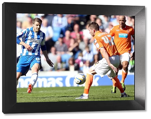 Andrea Orlandi Scores Third Goal: Brighton & Hove Albion vs. Blackpool, April 20, 2013