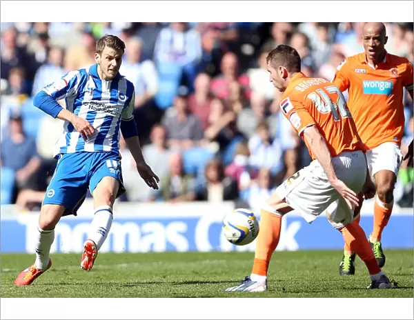 Andrea Orlandi Scores Third Goal: Brighton & Hove Albion vs. Blackpool, April 20, 2013