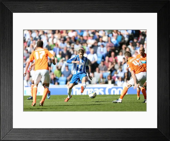 Framed Print : Andrea Orlandi Scores the Game-winning Goal: Brighton & Hove Albion vs Blackpool (April 20, 2013)