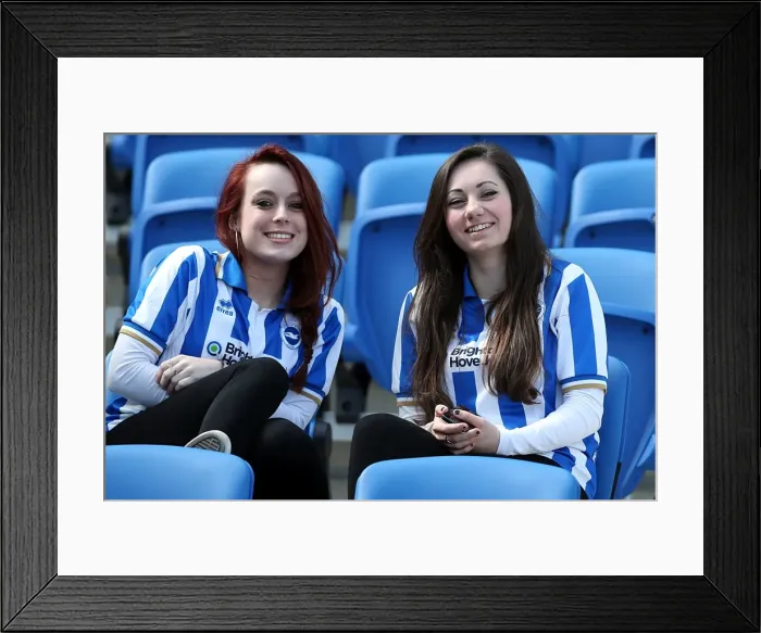 Framed Print : Brighton and Hove Albion: Electric Atmosphere - Crowd Shots from The Amex Stadium (2012-2013) Framed Print : Brighton and Hove Albion: Electric Atmosphere - Crowd Shots from The Amex Stadium (2012-2013)
