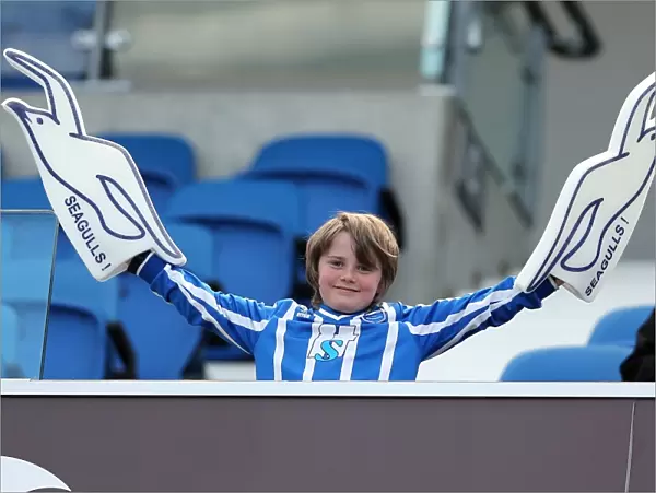Brighton & Hove Albion FC: Electrifying Crowd Moments at The Amex Stadium (2012-13)