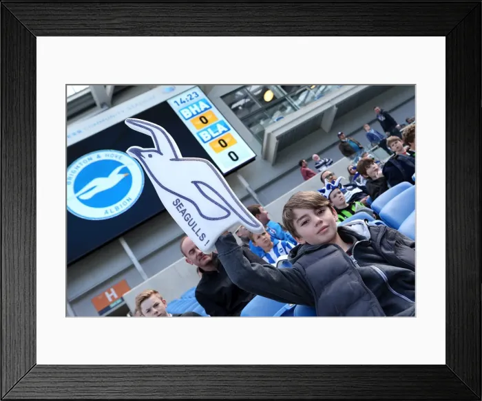 Framed Print : Brighton & Hove Albion vs. Blackpool (2012-13 Home Game) Framed Print : Brighton & Hove Albion vs. Blackpool (2012-13 Home Game)