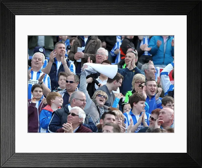 Framed Print : Brighton & Hove Albion vs. Blackpool: 2012-13 Home Game