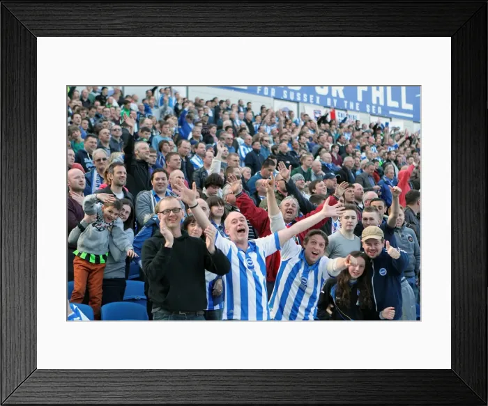 Framed Print : Brighton & Hove Albion vs. Blackpool: 2012-13 Home Game Highlights Framed Print : Brighton & Hove Albion vs. Blackpool: 2012-13 Home Game Highlights