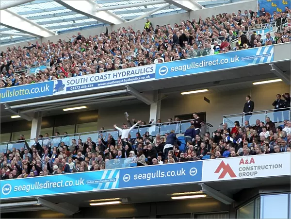 Brighton & Hove Albion vs. Blackpool: 2012-13 Season - Home Game Highlight