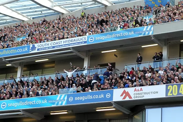 Brighton & Hove Albion vs. Blackpool: 2012-13 Season - Home Game Highlight