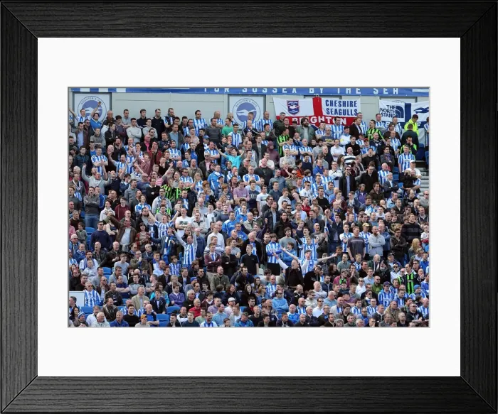 Framed Print : Brighton & Hove Albion vs. Blackpool (2012-13 Home Game) Framed Print : Brighton & Hove Albion vs. Blackpool (2012-13 Home Game)