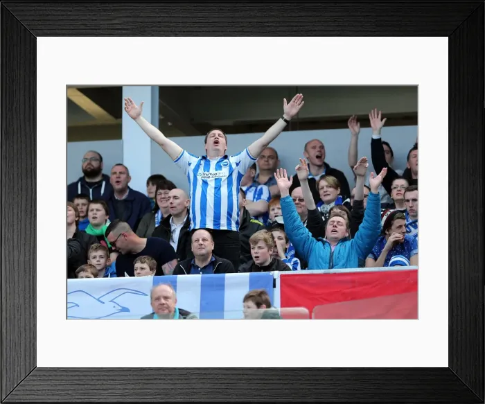 Framed Print : Brighton & Hove Albion vs. Blackpool: 2012-13 Home Game Framed Print : Brighton & Hove Albion vs. Blackpool: 2012-13 Home Game