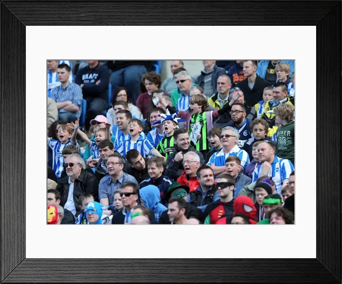 Framed Print : Brighton & Hove Albion vs. Blackpool: 2012-13 Season Home Game Highlights (April 20, 2013) Framed Print : Brighton & Hove Albion vs. Blackpool: 2012-13 Season Home Game Highlights (April 20, 2013)