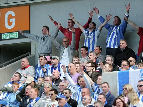 Brighton & Hove Albion vs. Blackpool: 2012-13 Home Game