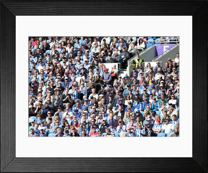 Framed Print : Brighton & Hove Albion vs. Blackpool: 2012-13 Home Game Framed Print : Brighton & Hove Albion vs. Blackpool: 2012-13 Home Game