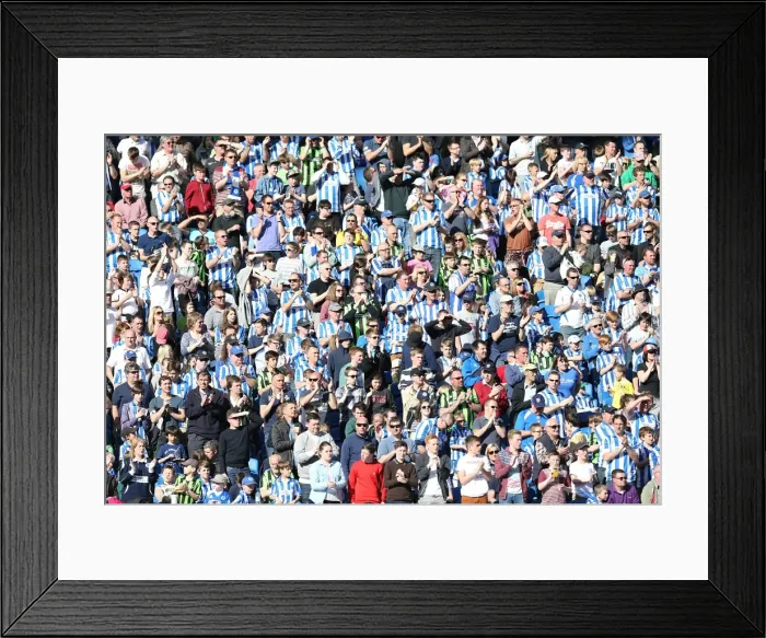 Framed Print : Brighton & Hove Albion vs. Blackpool: Home Game - April 2013 Framed Print : Brighton & Hove Albion vs. Blackpool: Home Game - April 2013