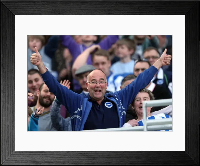 Framed Print : Brighton & Hove Albion vs. Blackpool: 2012-13 Home Game Highlights (April 20, 2013) Framed Print : Brighton & Hove Albion vs. Blackpool: 2012-13 Home Game Highlights (April 20, 2013)