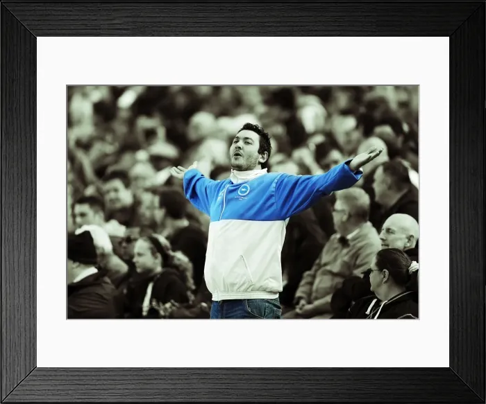 Framed Print : Brighton and Hove Albion: Electrifying Crowds at The Amex Stadium (2012-2013) Framed Print : Brighton and Hove Albion: Electrifying Crowds at The Amex Stadium (2012-2013)