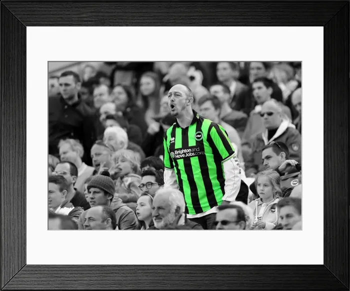 Framed Print : Brighton & Hove Albion vs. Blackpool: 2012-13 Home Game Framed Print : Brighton & Hove Albion vs. Blackpool: 2012-13 Home Game