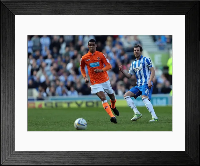 Framed Print : Brighton & Hove Albion vs. Blackpool: 2012-13 Home Game Highlights Framed Print : Brighton & Hove Albion vs. Blackpool: 2012-13 Home Game Highlights
