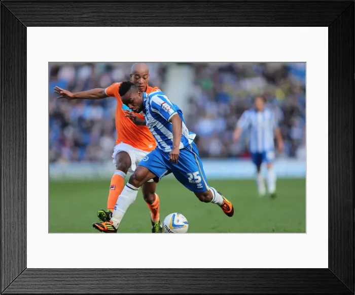 Framed Print : Brighton & Hove Albion vs. Blackpool: A Home Game Battle from the 2012-13 Season Framed Print : Brighton & Hove Albion vs. Blackpool: A Home Game Battle from the 2012-13 Season