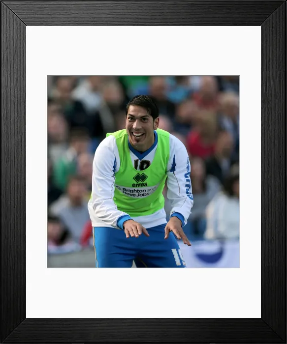 Framed Print : Brighton & Hove Albion vs. Blackpool: 2012-13 Home Game Framed Print : Brighton & Hove Albion vs. Blackpool: 2012-13 Home Game