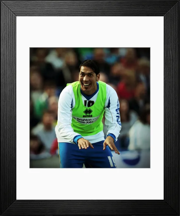 Framed Print : Brighton & Hove Albion vs. Blackpool (2013): A Home Game from the 2012-13 Season Framed Print : Brighton & Hove Albion vs. Blackpool (2013): A Home Game from the 2012-13 Season