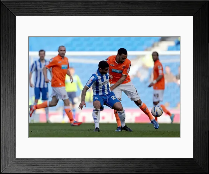 Framed Print : Brighton & Hove Albion vs. Blackpool: 2012-13 Home Game Framed Print : Brighton & Hove Albion vs. Blackpool: 2012-13 Home Game