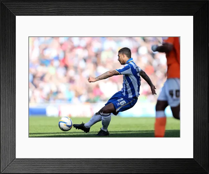 Framed Print : Brighton & Hove Albion vs. Blackpool (2013) - A Past Season Home Game Framed Print : Brighton & Hove Albion vs. Blackpool (2013) - A Past Season Home Game