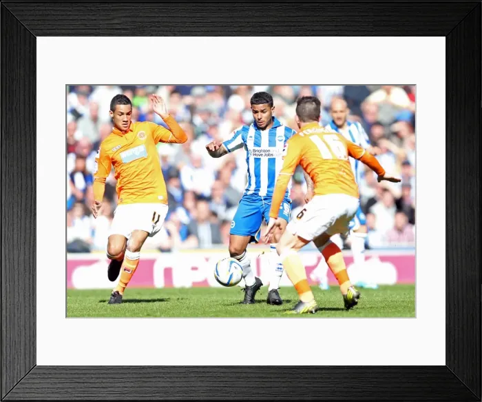 Framed Print : Brighton & Hove Albion vs. Blackpool: 2012-13 Home Game Framed Print : Brighton & Hove Albion vs. Blackpool: 2012-13 Home Game