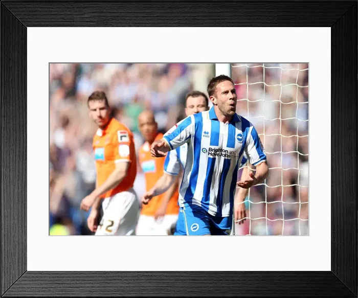 Framed Print : Brighton & Hove Albion vs. Blackpool: 2012-13 Season - Home Game Highlight Framed Print : Brighton & Hove Albion vs. Blackpool: 2012-13 Season - Home Game Highlight