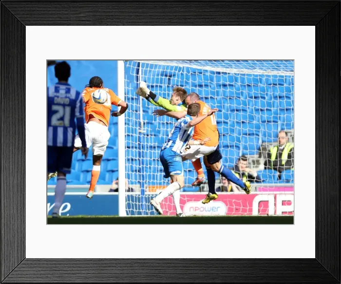 Framed Print : Brighton & Hove Albion vs. Blackpool: 2012-13 Home Game Highlights Framed Print : Brighton & Hove Albion vs. Blackpool: 2012-13 Home Game Highlights