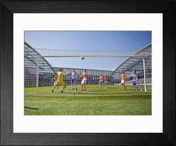 Framed Print : Brighton & Hove Albion vs. Blackpool: 2012-13 Home Game Framed Print : Brighton & Hove Albion vs. Blackpool: 2012-13 Home Game